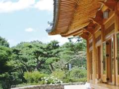 [칼윈] 템플 스테이 썰