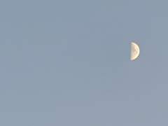 타카즈카 에이키/ 20191227C / XY