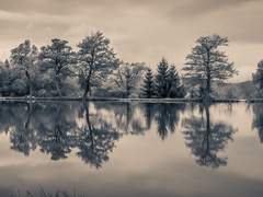 그 악역은 처음부터 악역이었을까.