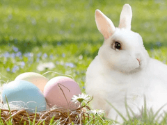 미래를 쫒지 않을 두 발로, 숨이 차게 달린다.