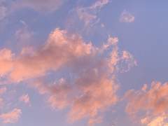 미스터리 수사반의 출근길 - 1