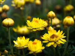 내일을 선사하는 너에게