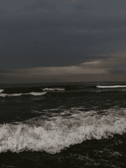 그 인어는 왕자를 죽였다.