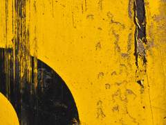 빨다린 체 말고 진솔로 있거라