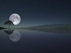 (레고무비)소중한 이들과 함께 하는 명절