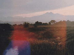 가장 보통의 존재