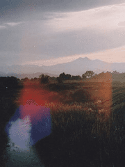 가장 보통의 존재