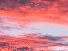 <연예계 AU 부산조> 별인 채로 둘거야.