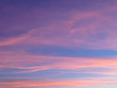 이 모든 무대의 주인은 나라고