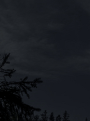 데못죽 2차 창작