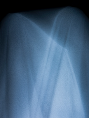 [2차] 장르 연성