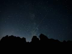 솔직하지만 솔직하지 않은