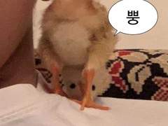 집라인 타러 간 곳 직원썰