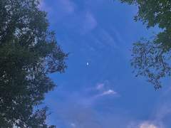 15일차. 가장 기억에 남는 크리스마스는 어떤 크리스마스였나요?