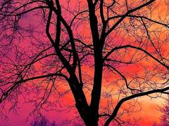 00. 루시안 데릭 아르빈체