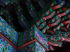 설국화(雪菊話)