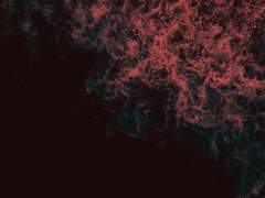 Lucia De Pietro ⊹ Female ⊹ 33