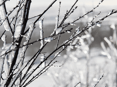 나의 피셔 웰즈에게.