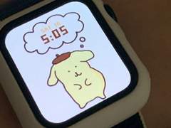 세븐틴 폼폼푸린 애플워치 페이스 공유