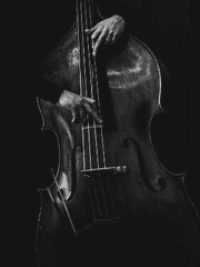 어느 베이시스트의 수기