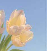 [오이히나] 힘들땐 언제나