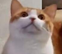 127막내 김여주 모먼트 EP.34