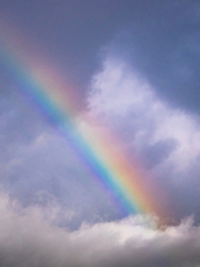 [에세이] 근사한 상상만 했으므로