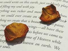 🦀 지인제 커미션[closed]