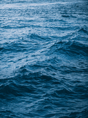 [원피스] 제목 미정