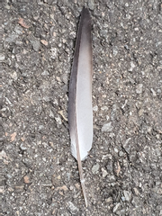 캐릭터들의 설정창고