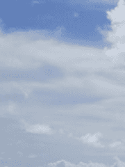 리 콜 티엔룽 로그