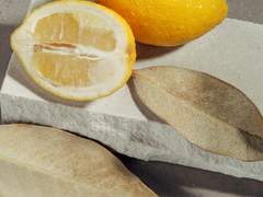 Chi ben comincia è alla metà dell’opera