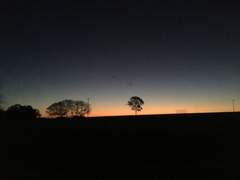 [명급리/황호의신] 꽃비녀의 유서 上