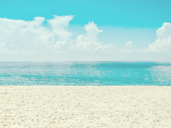 어려진 각경사님 [7]