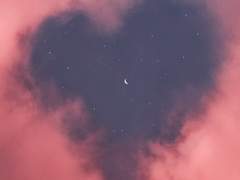 [하이큐 드림] 넌 나의 뮤즈