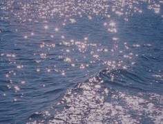 파도야, 조금만 천천히.