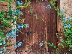 야수가 왕자를 깨웠을 때