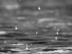 〈 진흙 속 단 하나의 레코드판 〉