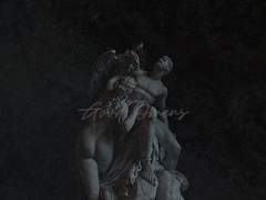 [에반+단테] 좋은 징조들