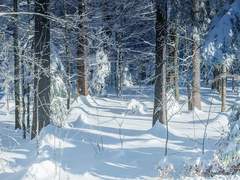 고하는 모든 것은 나의 진심, 진실, 후회 없는 나의 사랑!