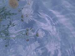 𝑰𝒂𝒏 𝑶. 𝑪𝒂𝒎𝒑𝒃𝒆𝒍𝒍