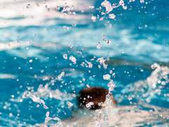 [KS] His actual habitat