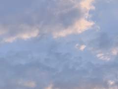 14일차. 내게 가장 큰 영향을 준 영화는 무엇인가요?