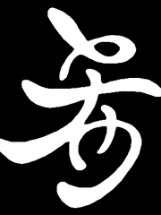 월야지화月夜之花