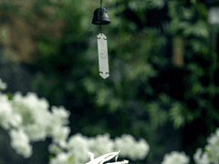 황비 망기 x 황제 무선 - 3