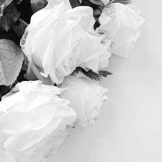 𝑳𝒂𝒖𝒓𝒆𝒏𝒄𝒆 𝑶𝒅é𝒍𝒊𝒆 𝑨𝒃𝒃𝒐𝒕