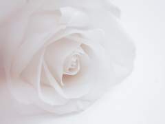 절망하고 싶다면 절망해도 된다