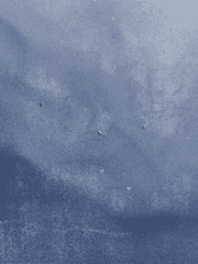 센티넬-형석종건