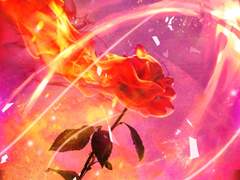 실망하지 않을 준비를 한다.