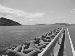 We fell in love in 10